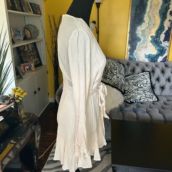 Fashion Nova cream with silver stripes short set zip up back. Plunging neckline. - Picture 4 of 12